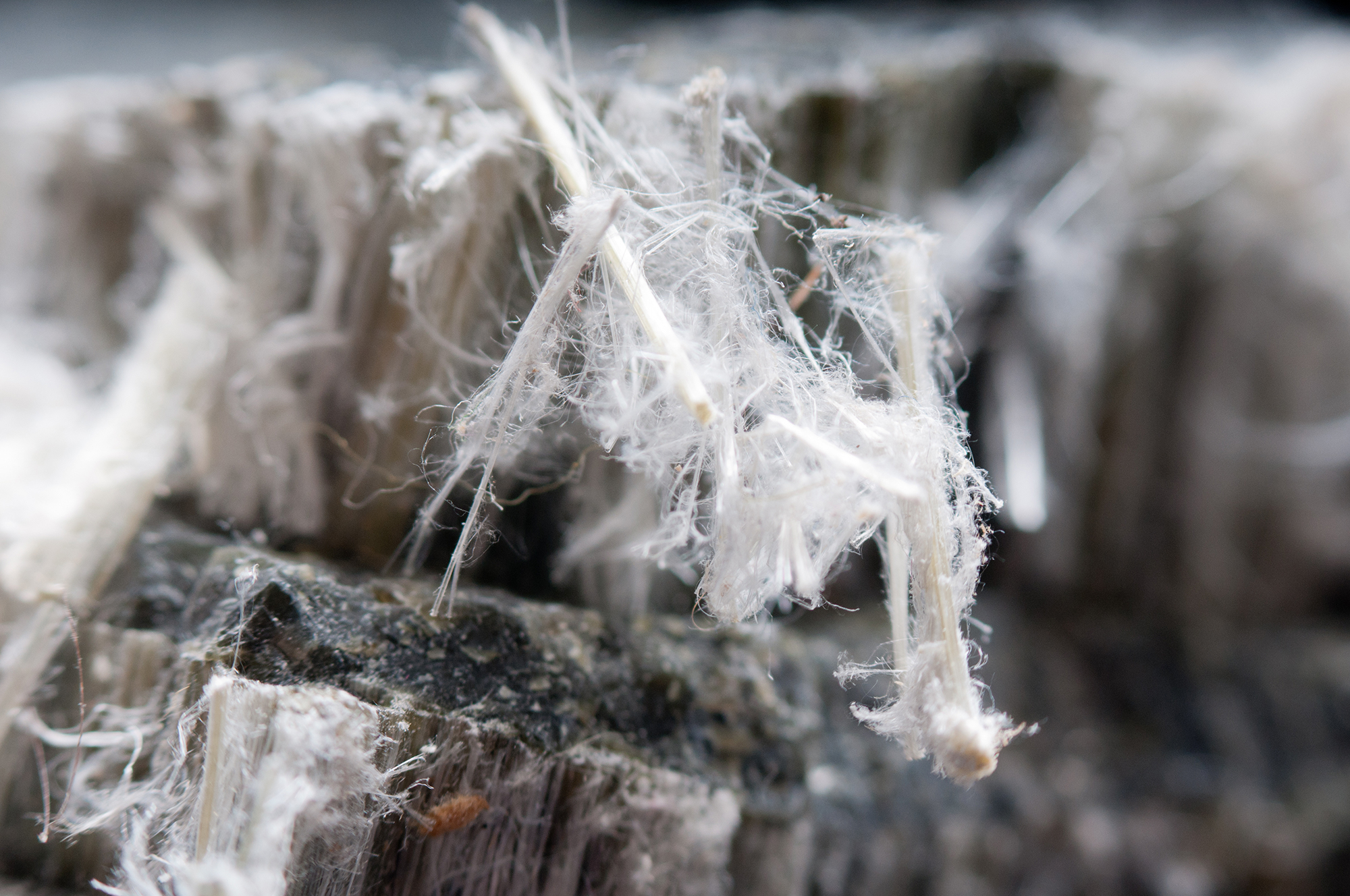 Being Exposed to Asbestos Fibres